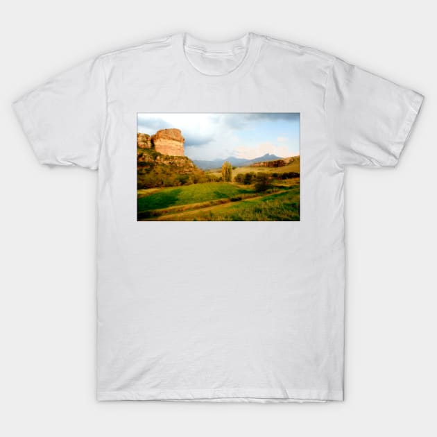 Sunnyside Farm T-Shirt by micklyn